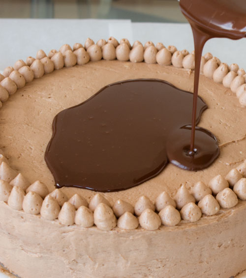 Ce gâteau au chocolat bio qui ressemblait à un YES - Quileutcuit