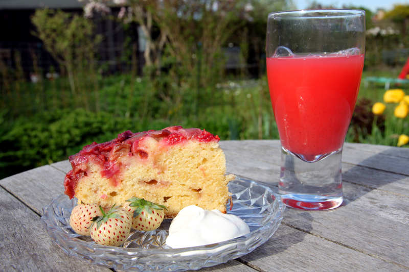 Gâteau renversé fraises-rhubarbe3